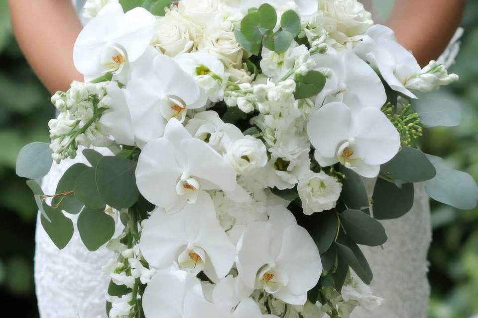 Elegance in white