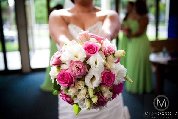 Pink flowers