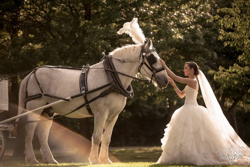 Stunning Fusion Wedding in New Jersey - Mile Square Moments