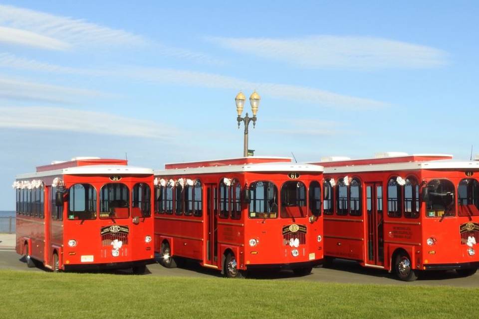 A fleet of trolleys