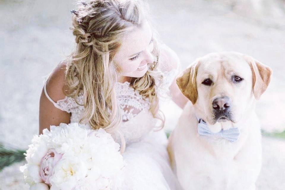 Beautiful Puppy and Bride