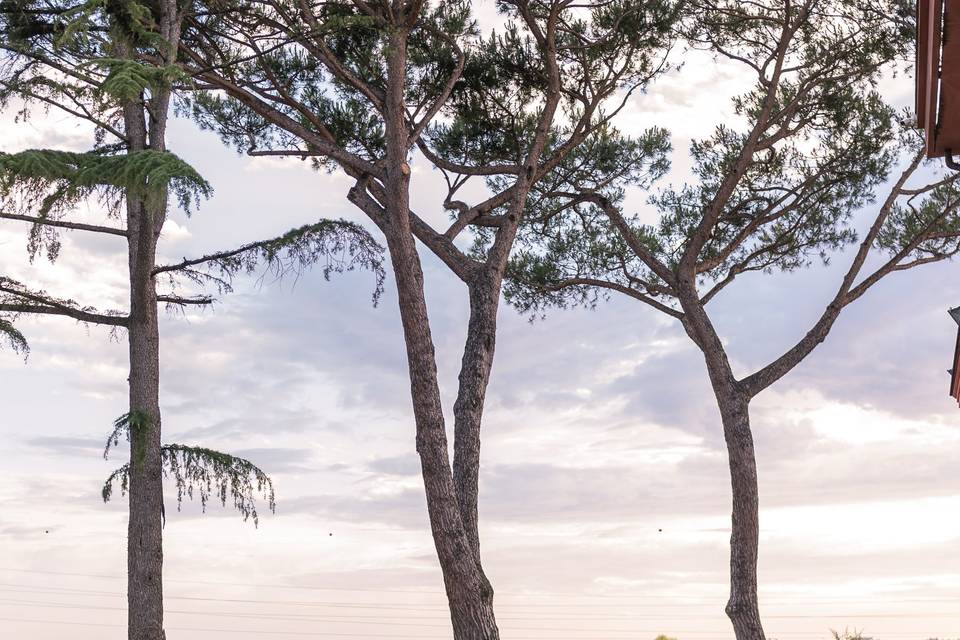 Villa Dafne Majestic