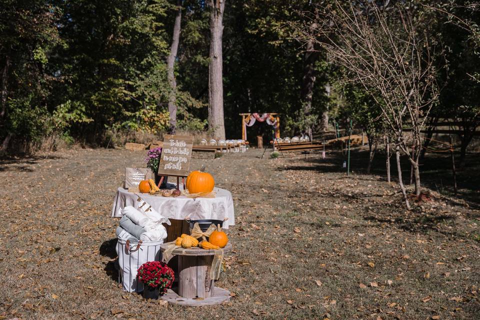 Fall outdoor ceremony