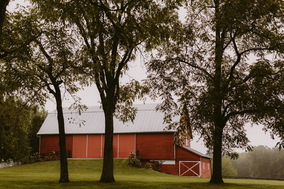 Red August Farm