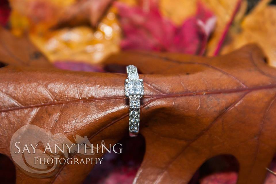 Say Anything Photography & Digital Services