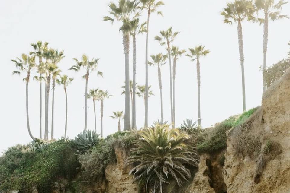 Laguna Beach Engagement