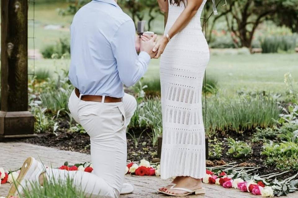 Napa Valley Proposal