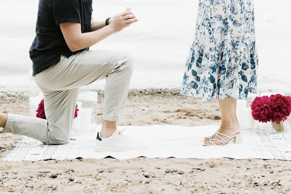 Lake Minnetonka Proposal