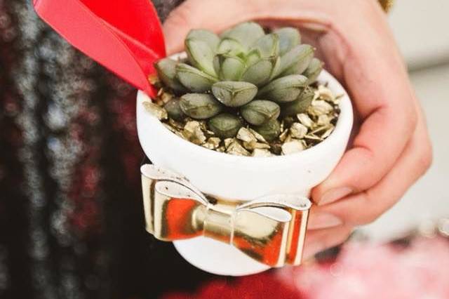 Rock Toppings for your guests to decorate their potted succulents with.