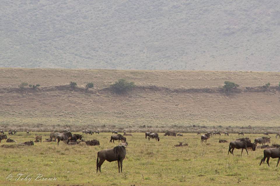 Ngorongoro Crater, Tanzania