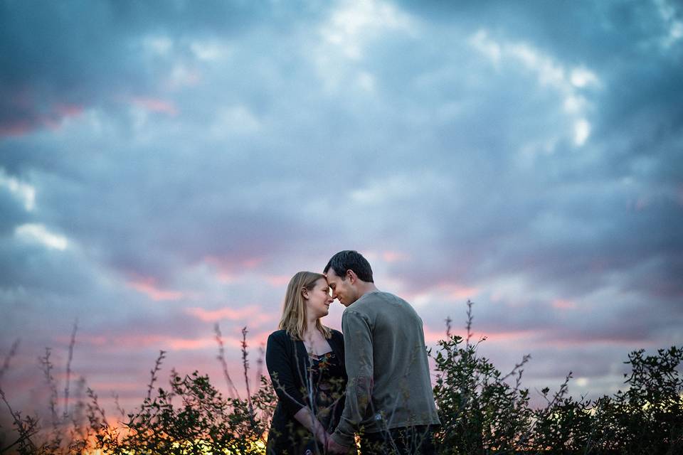 Engagement Portrait