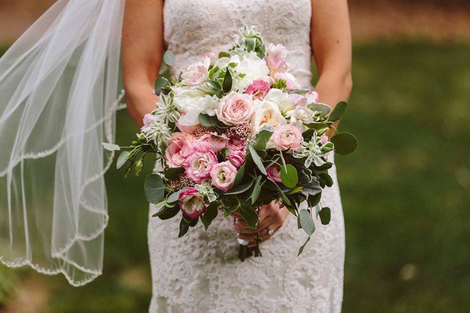 Pink and white flowers