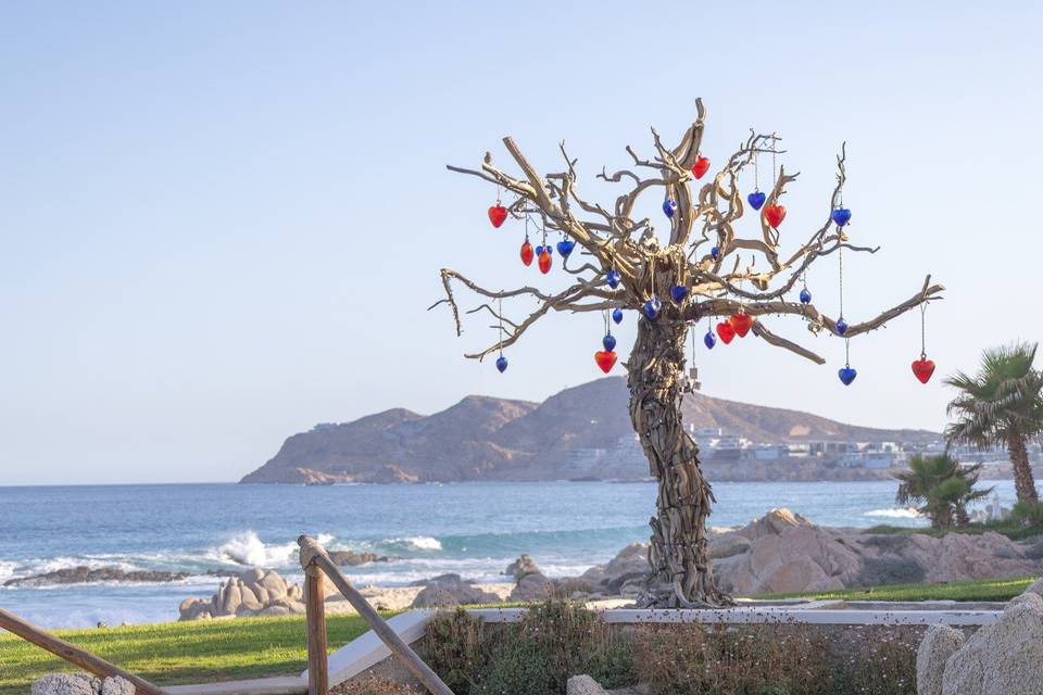 Mar del Cabo