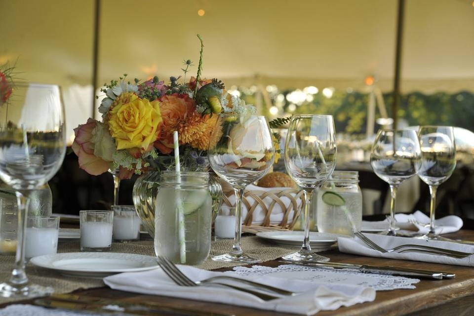 Susan Lane Events