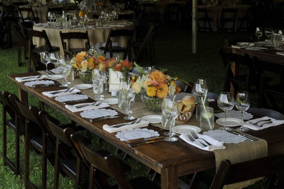 Susan Lane Events