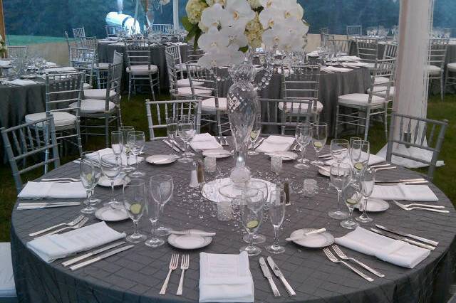 Susan Lane Events