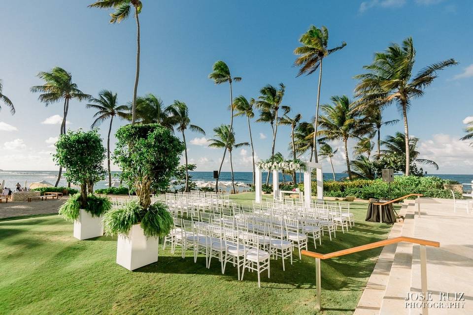 Caribbean + Palm Trees