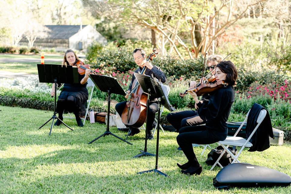 Pan String Quartet - Baton Rouge Wedding Music