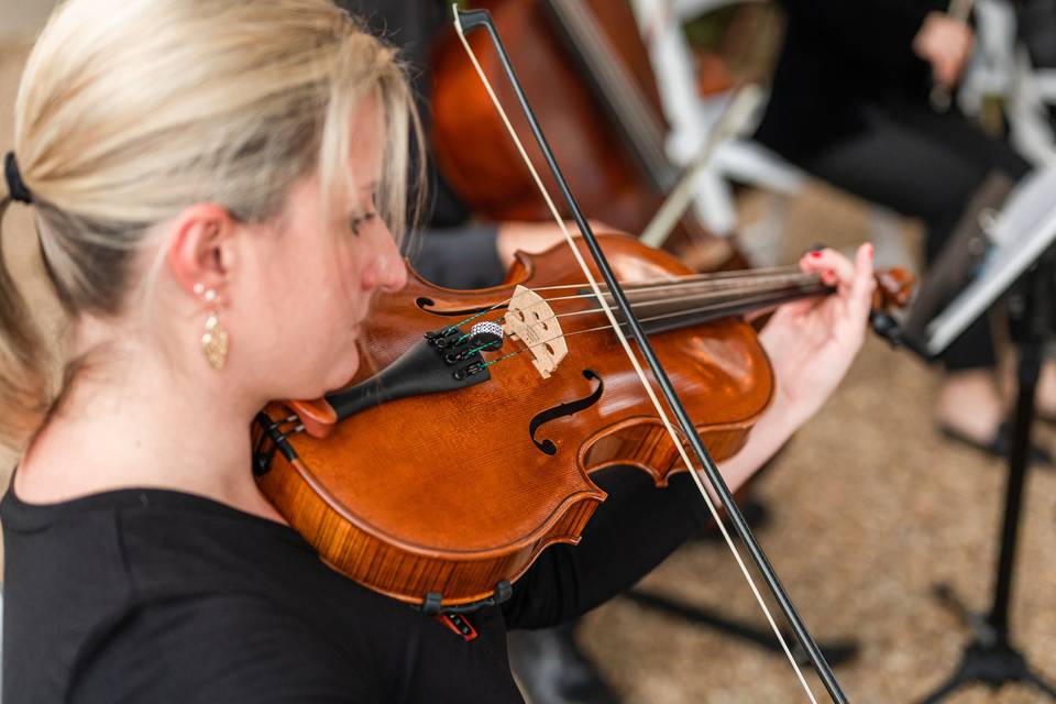 Pan String Quartet - Baton Rouge Wedding Music