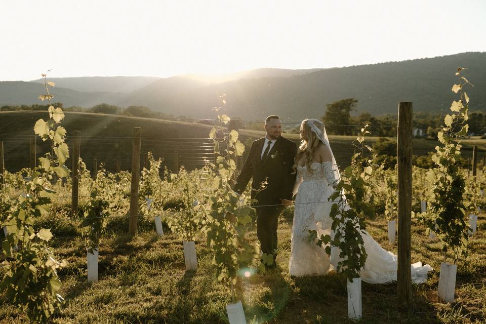 Beard Mountain Vineyards