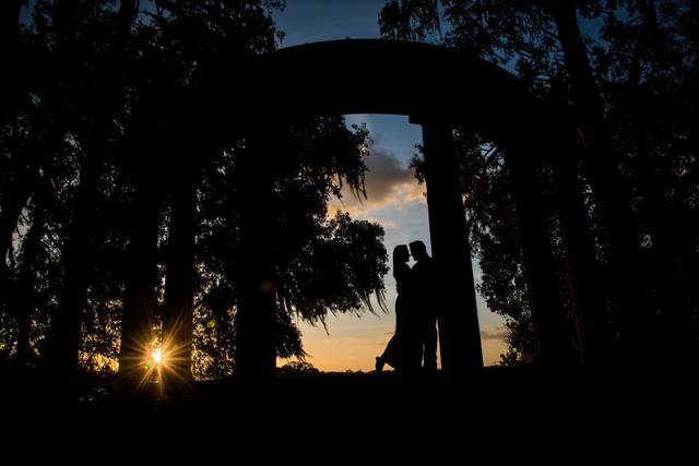Dawn Aiello Photography