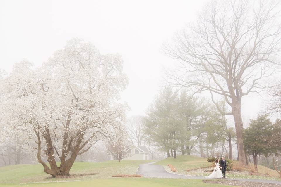 Bride and groom