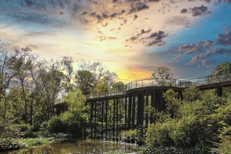 Sunset on the bridge