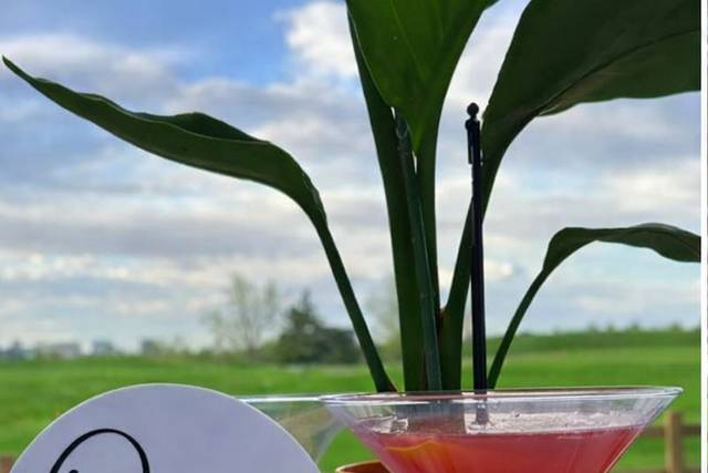 Cosmopolitan Martini