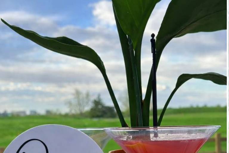 Cosmopolitan Martini