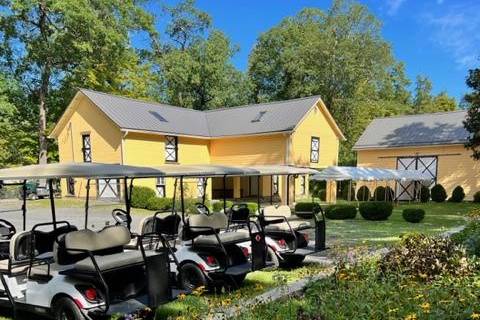 Golf carts ready to take guest