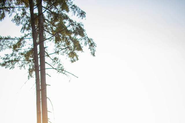 Sunset photos