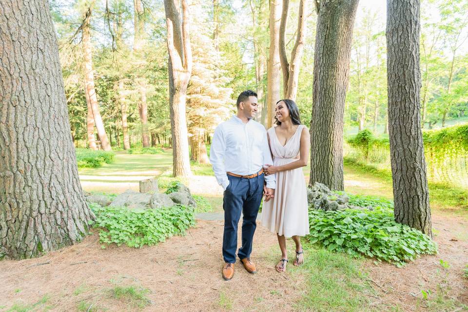 Andrea Stagg Photographer