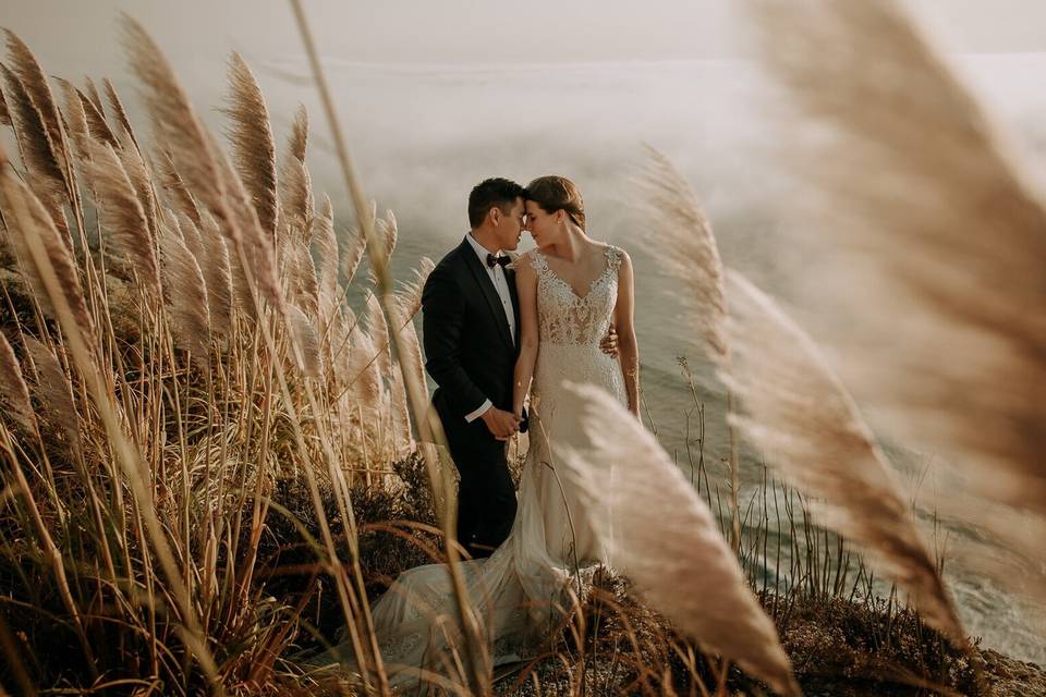 Harrison Weddings
