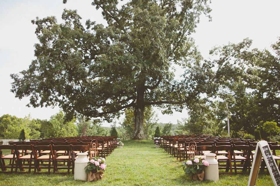 Outdoor wedding setup