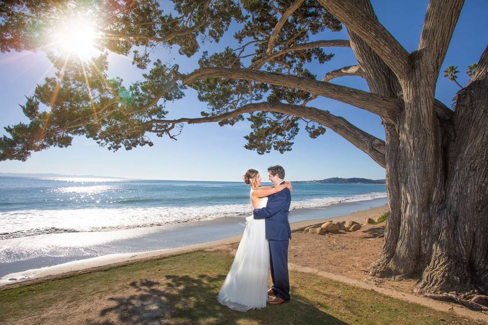 Butterfly Beach