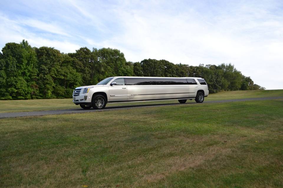 First Class Limousine