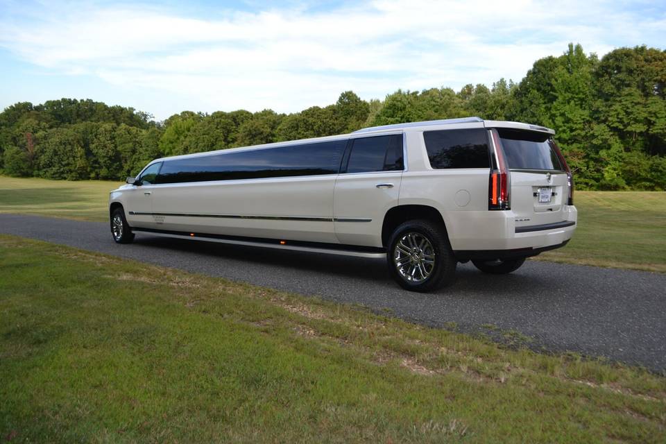 First Class Limousine