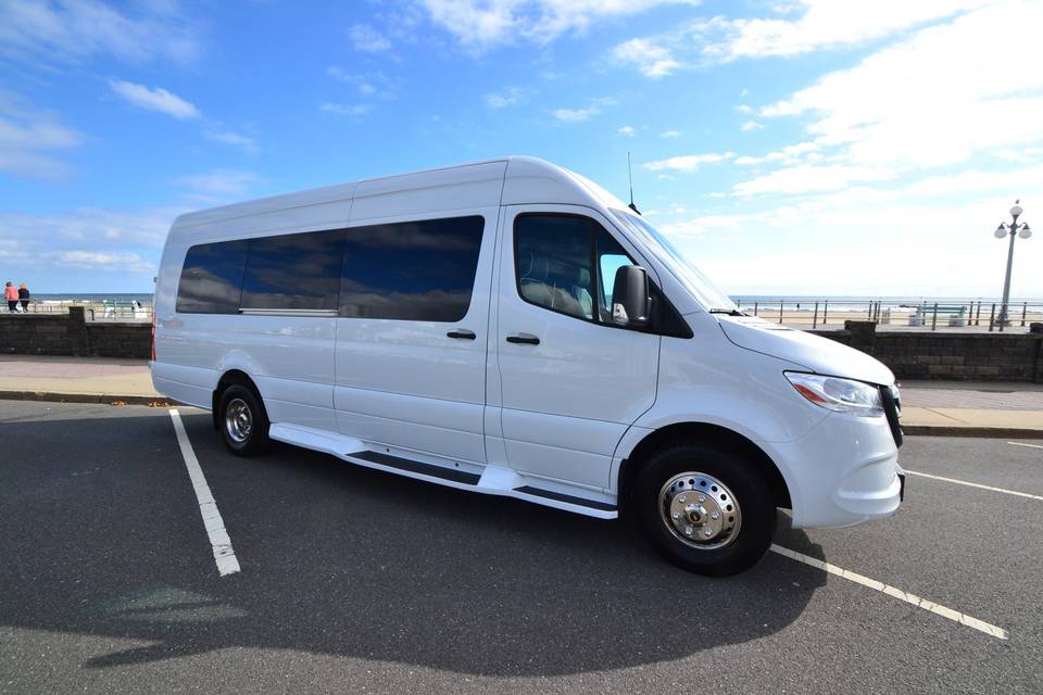 Sprinter White