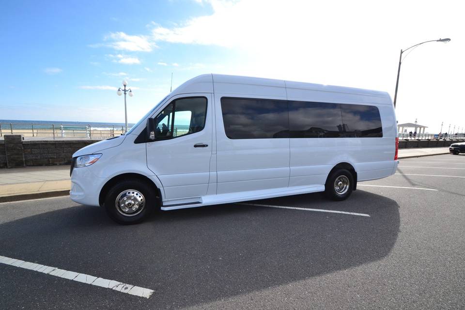 Sprinter White