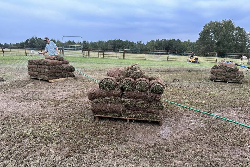 Working farm