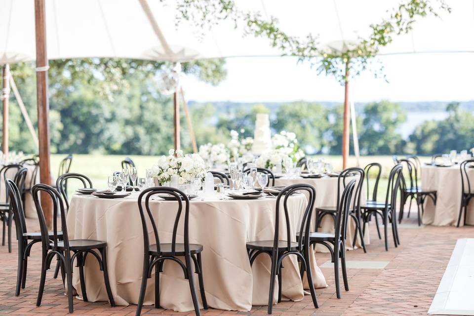 Brittland Manor Reception