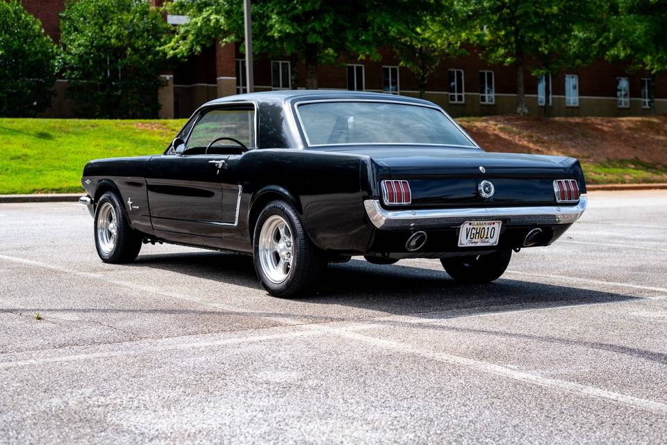Back, Side profile '65 Mustang