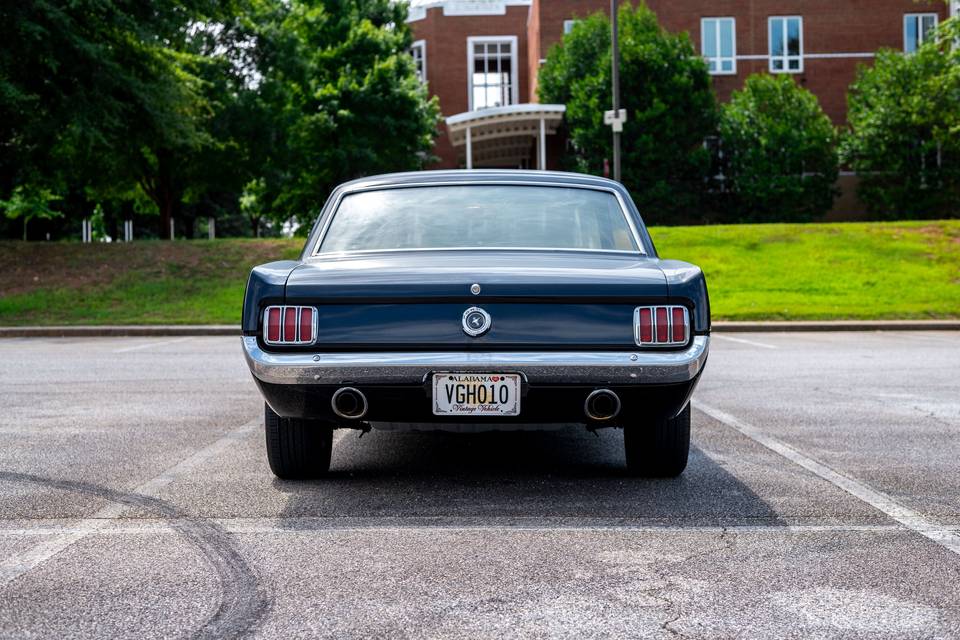 Back profile of '65 Mustang