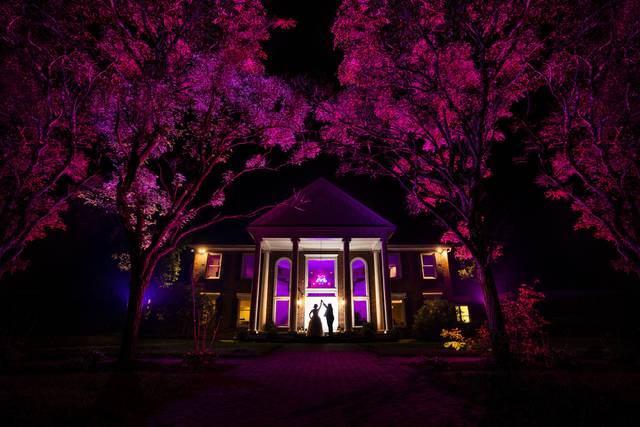 Creative Wedding Photos