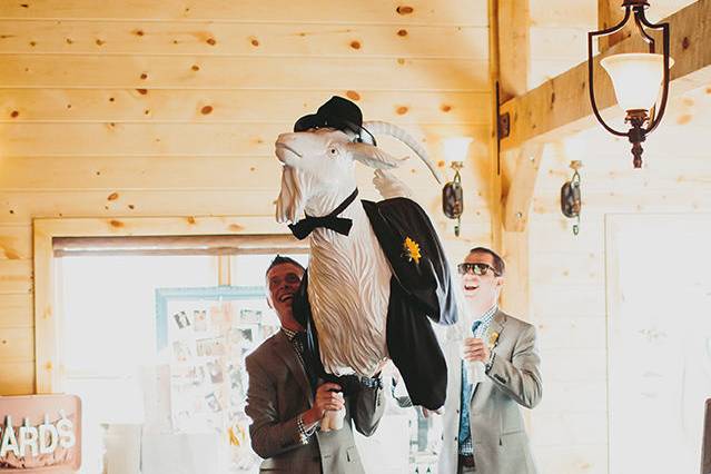 Wolf & Bird | Event Design & Styling