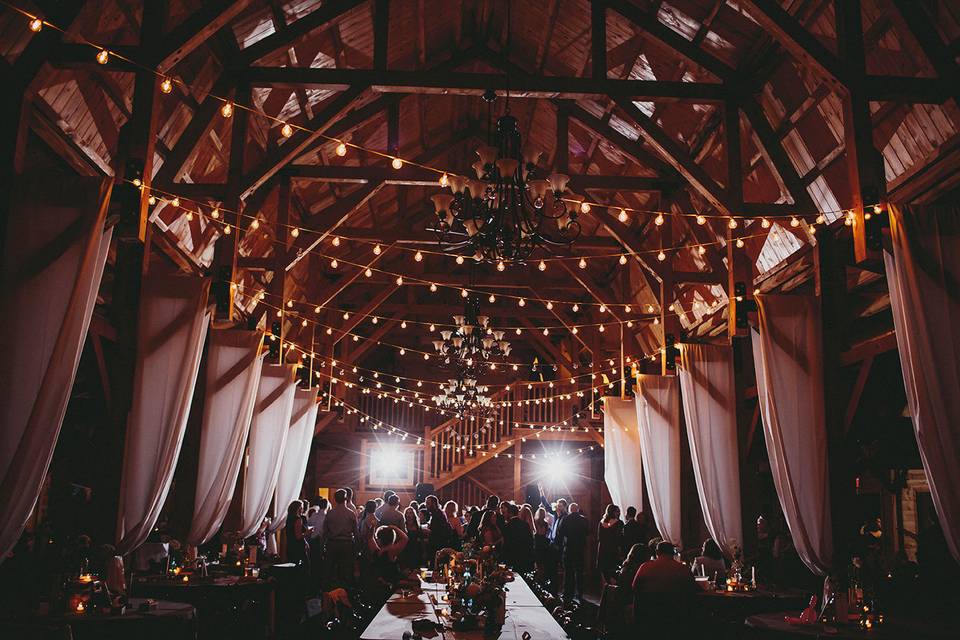 Wolf & Bird | Event Design & Styling