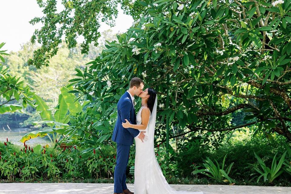 Viva L Festa