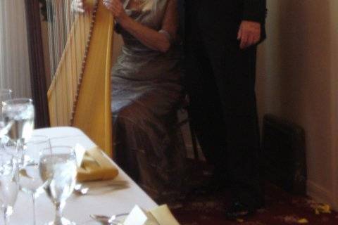 Pamela Pamperin, Harpist