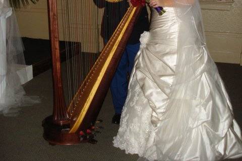 Pamela Pamperin, Harpist