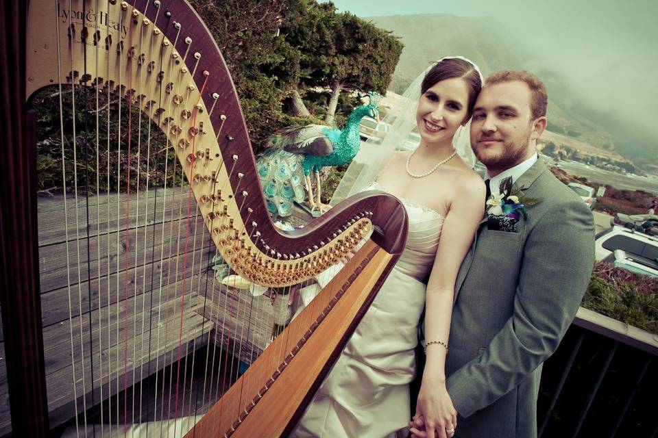 Pamela Pamperin, Harpist